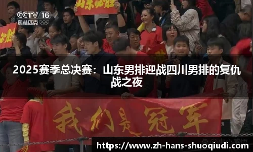 说球帝体育